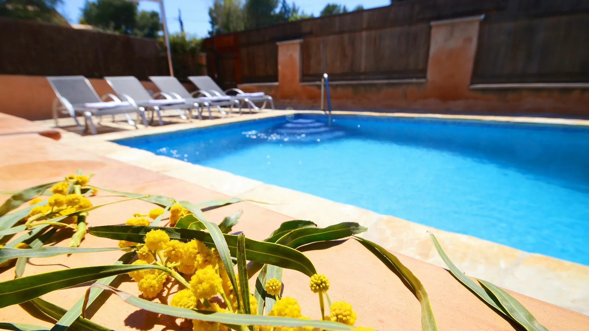 Villa 5 Oceanos Alcudia